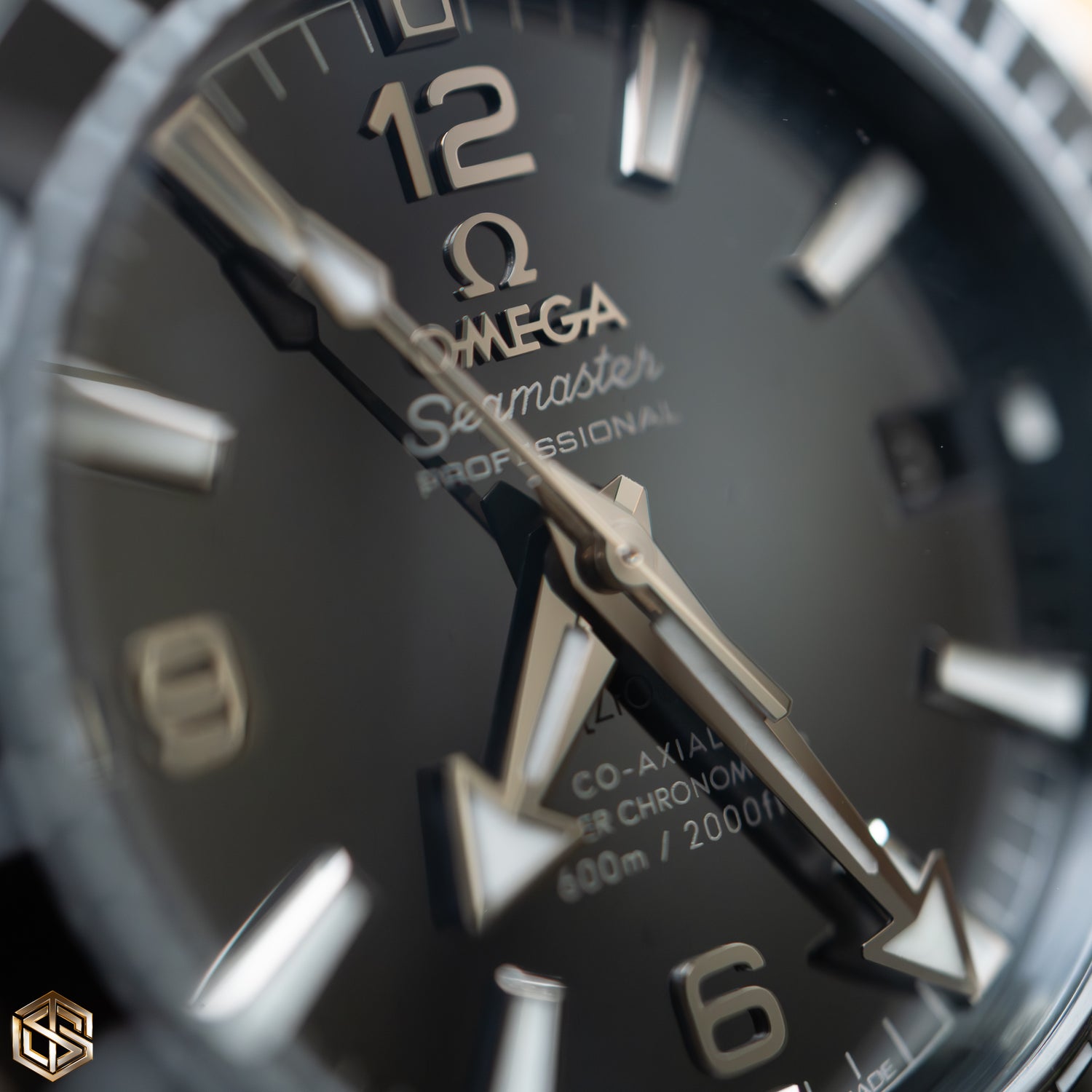 Omega 215.92.40.20.01.001 Seamaster Planet Ocean 