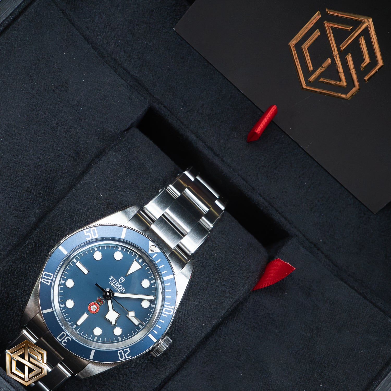 Tudor 79030B Black Bay 58 'Platinum Jubilee Royalty & Specialist Protection' 2022 Unworn Watch