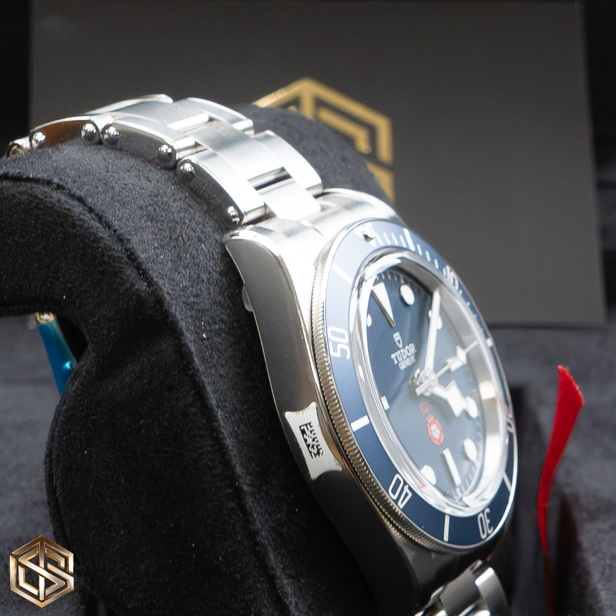 Tudor 79030B Black Bay 58 'Platinum Jubilee Royalty & Specialist Protection' 2022 Unworn Watch