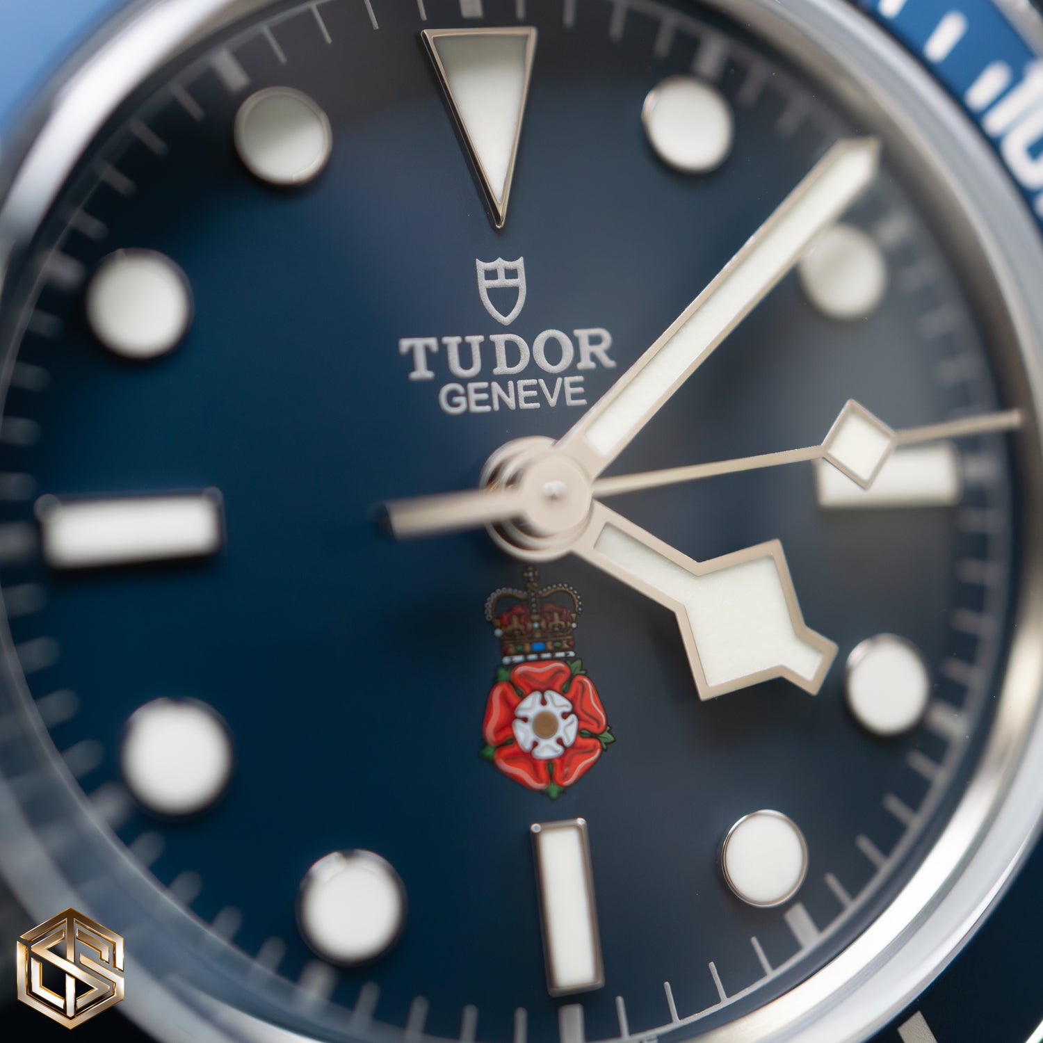 Tudor 79030B Black Bay 58 'Platinum Jubilee Royalty & Specialist Protection' 2022 Unworn Watch