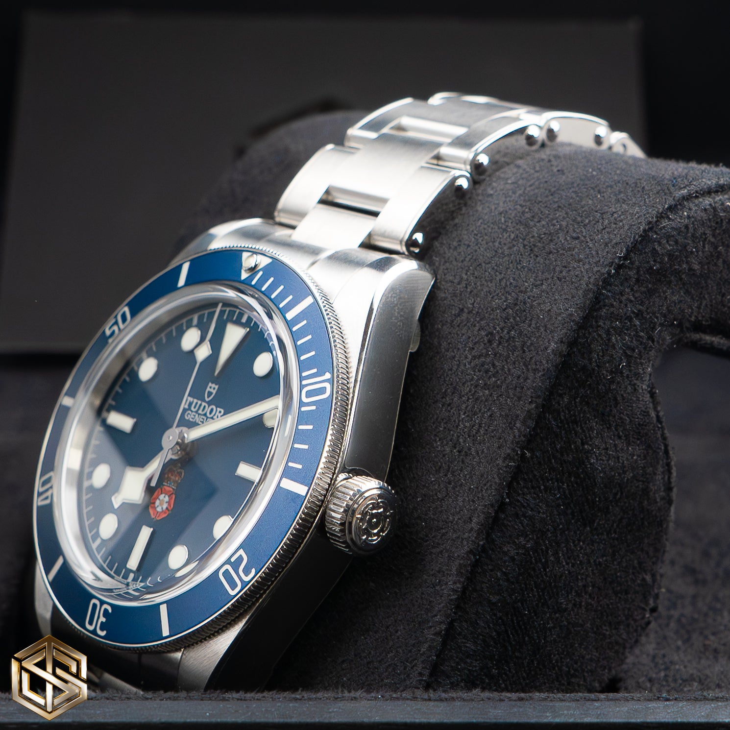 Tudor 79030B Black Bay 58 Platinum Jubilee Royalty Specialist Protection 2022 Unworn Watch SwissTimepieces