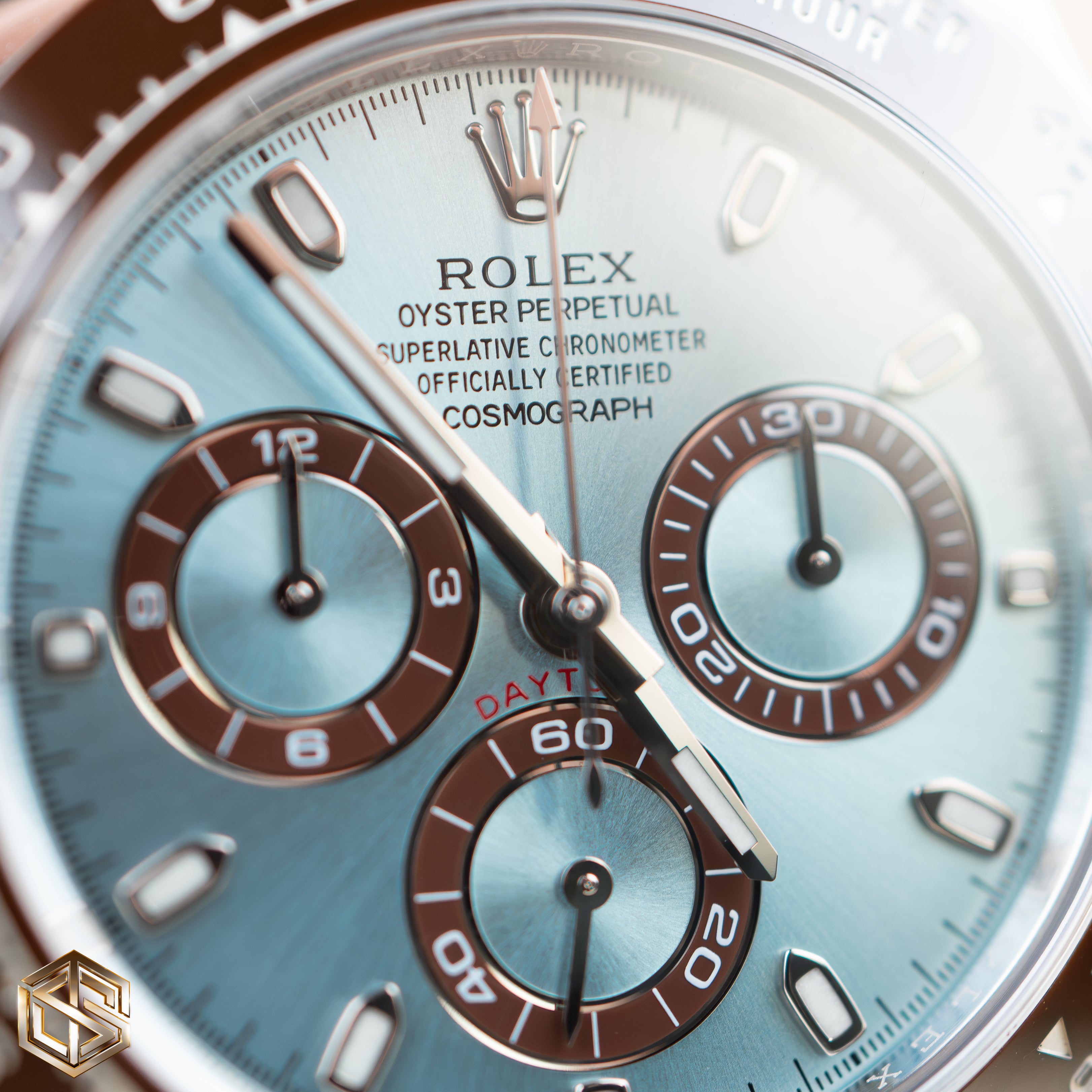 Rolex discount platona price