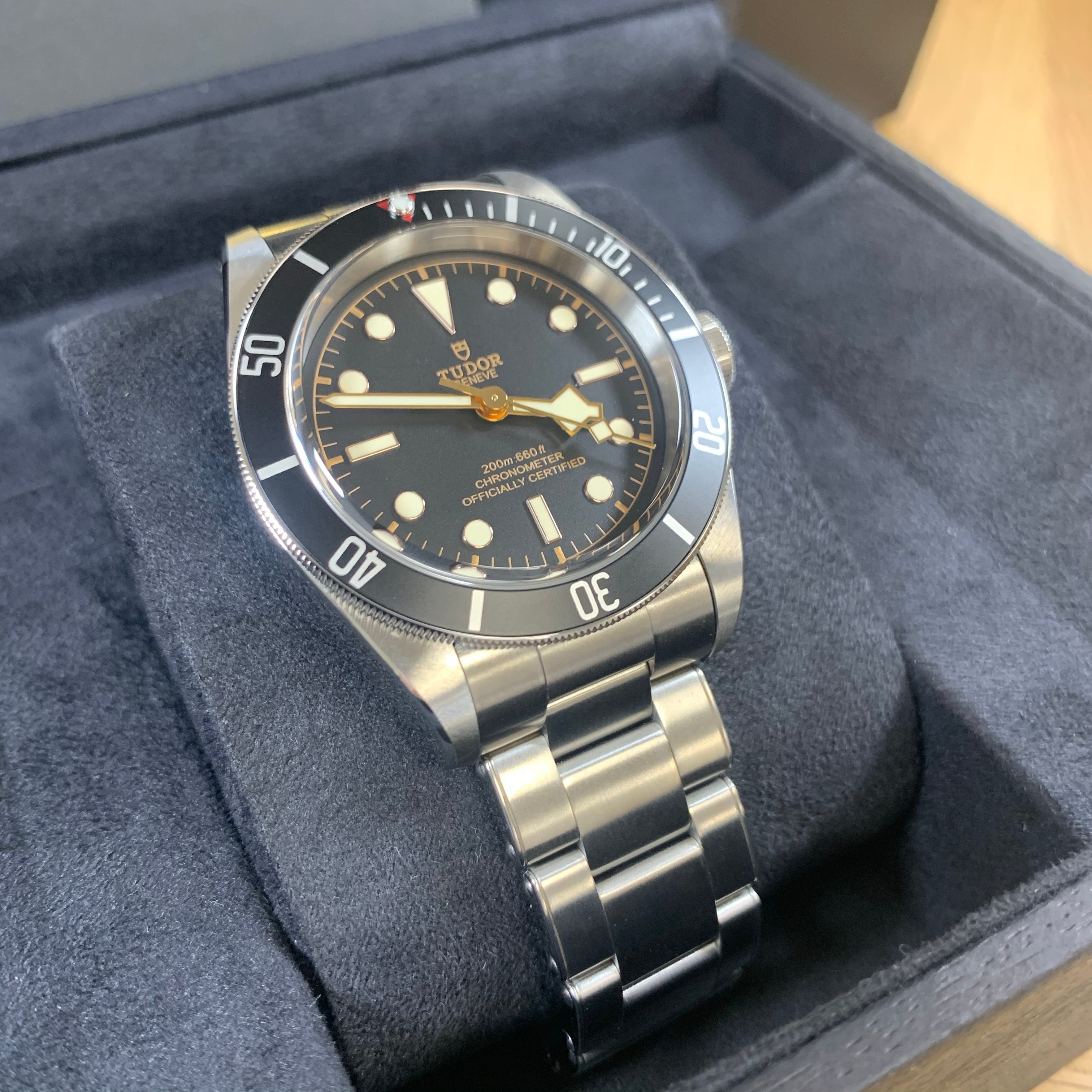 Tudor black deals bay noir