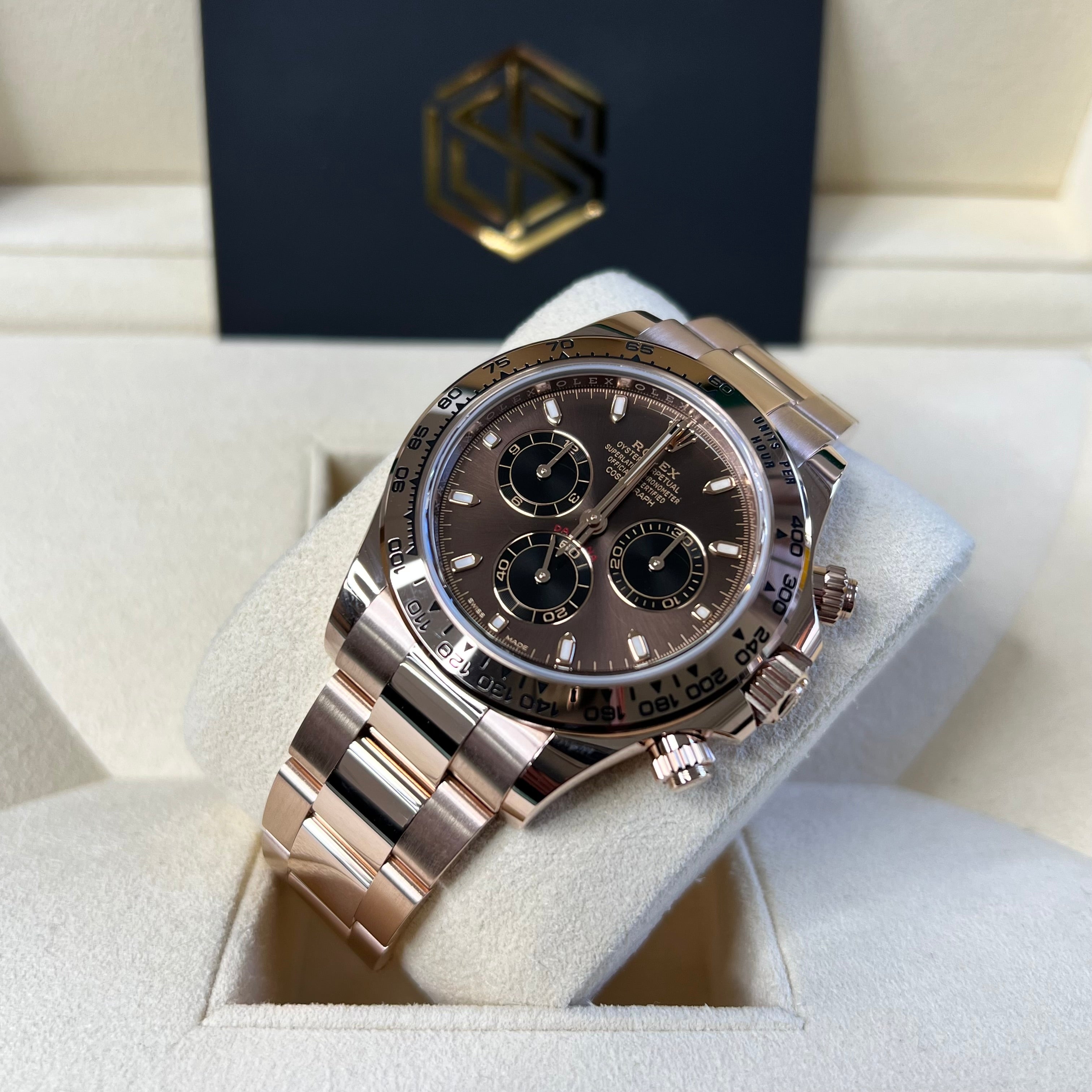 Daytona rose gold online chocolate