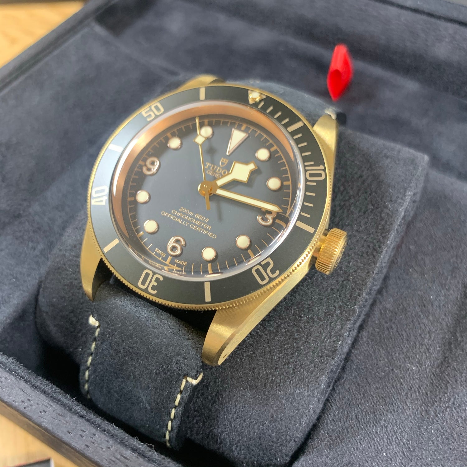Tudor Black Bay Bronze Edition M79250BA-0001 43mm Watch