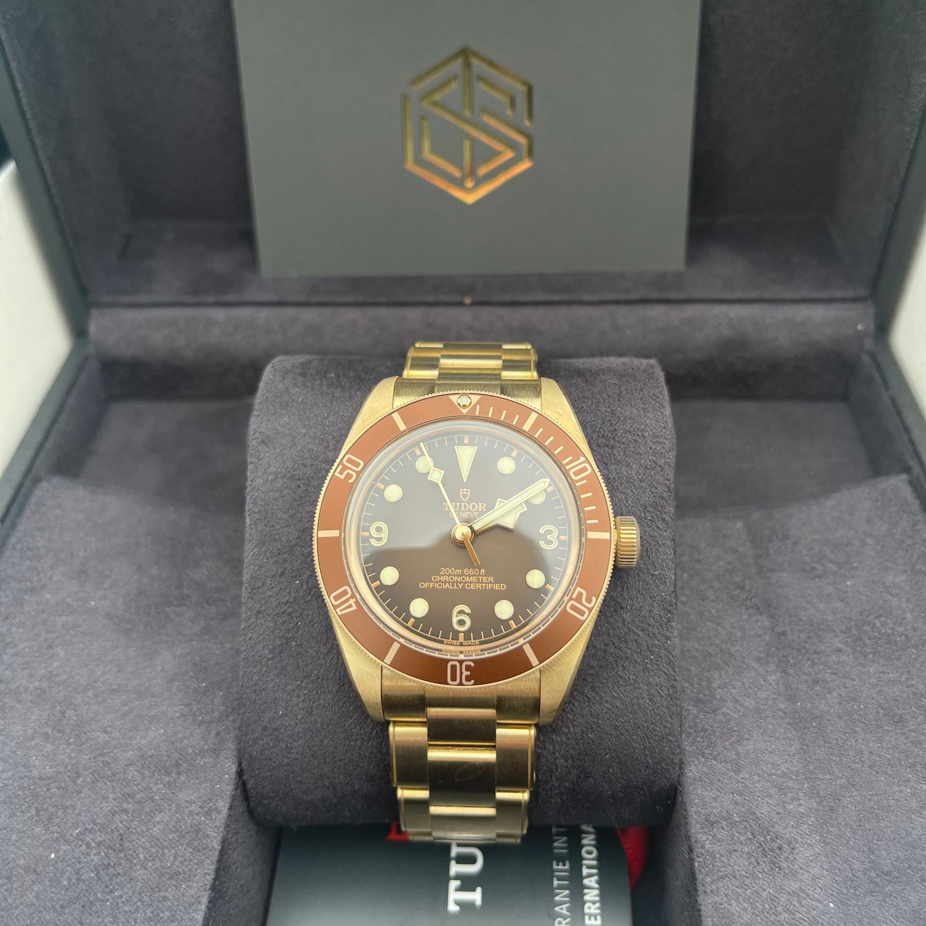Tudor bronze replica sales